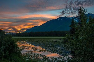 Alaskan Lily Pad Sunrise